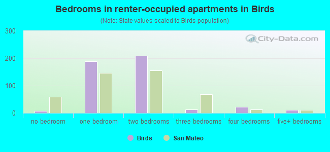 Bedrooms in renter-occupied apartments in Birds