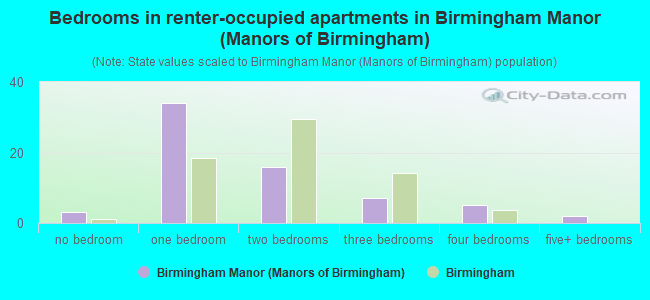 Bedrooms in renter-occupied apartments in Birmingham Manor (Manors of Birmingham)