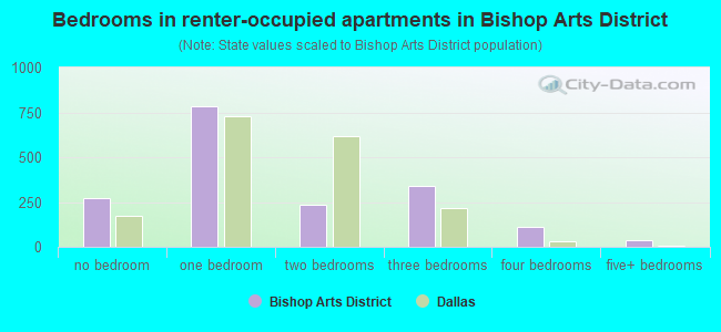 Bedrooms in renter-occupied apartments in Bishop Arts District