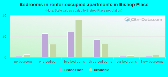 Bedrooms in renter-occupied apartments in Bishop Place