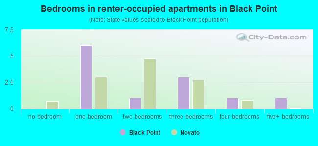 Bedrooms in renter-occupied apartments in Black Point