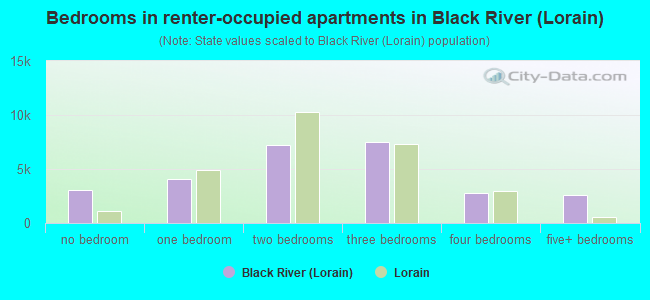 Bedrooms in renter-occupied apartments in Black River (Lorain)