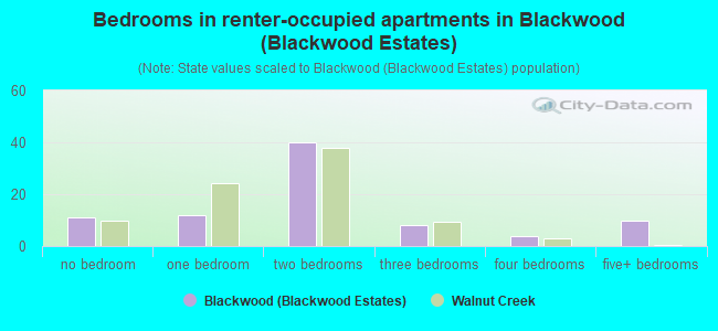 Bedrooms in renter-occupied apartments in Blackwood (Blackwood Estates)