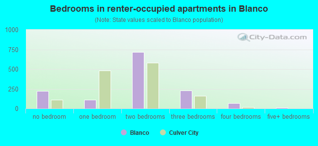 Bedrooms in renter-occupied apartments in Blanco