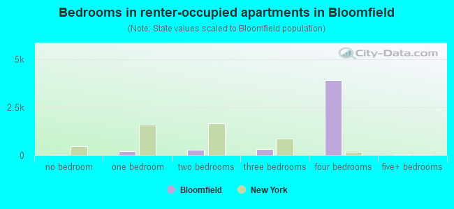 Bedrooms in renter-occupied apartments in Bloomfield
