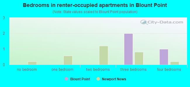 Bedrooms in renter-occupied apartments in Blount Point