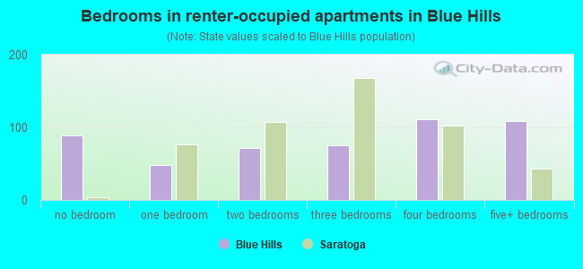 Bedrooms in renter-occupied apartments in Blue Hills