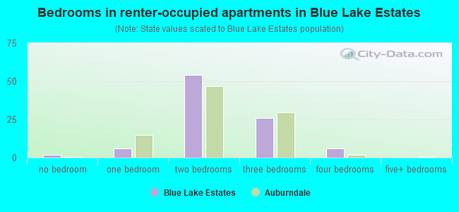Bedrooms in renter-occupied apartments in Blue Lake Estates