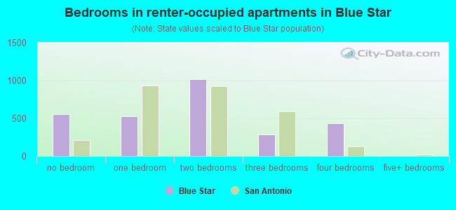 Bedrooms in renter-occupied apartments in Blue Star