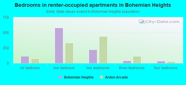 Bedrooms in renter-occupied apartments in Bohemian Heights