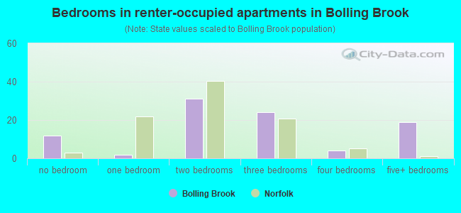 Bedrooms in renter-occupied apartments in Bolling Brook