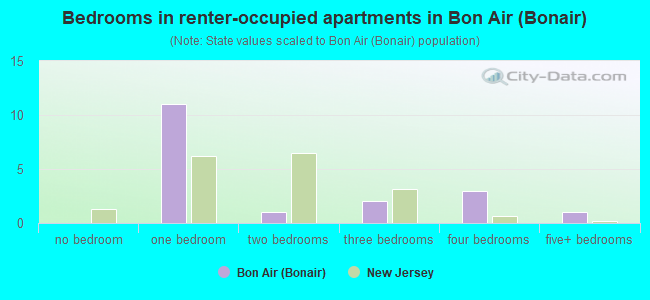 Bedrooms in renter-occupied apartments in Bon Air (Bonair)