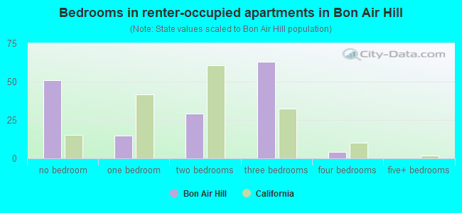 Bedrooms in renter-occupied apartments in Bon Air Hill