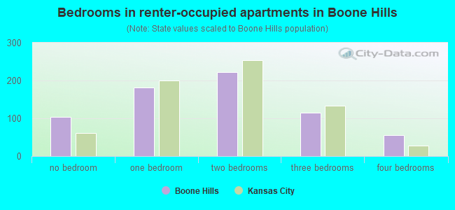 Bedrooms in renter-occupied apartments in Boone Hills