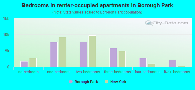 Bedrooms in renter-occupied apartments in Borough Park