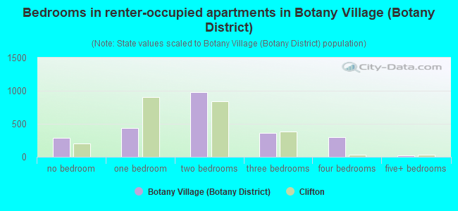 Bedrooms in renter-occupied apartments in Botany Village (Botany District)