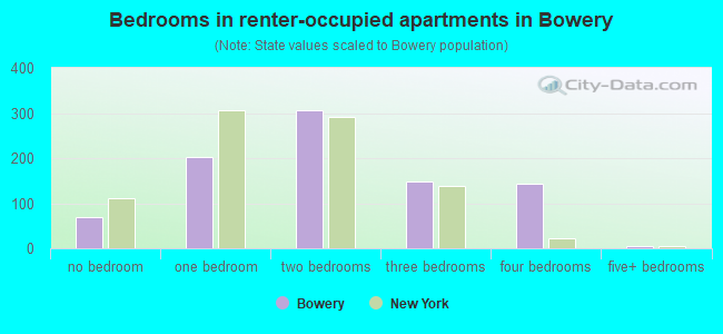Bedrooms in renter-occupied apartments in Bowery