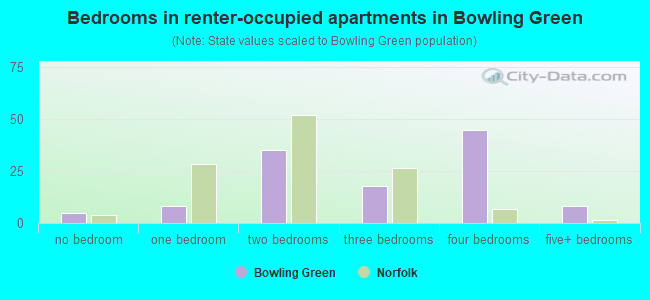 Bedrooms in renter-occupied apartments in Bowling Green