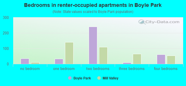 Bedrooms in renter-occupied apartments in Boyle Park