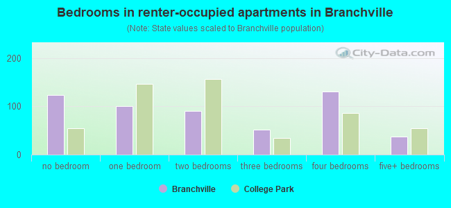 Bedrooms in renter-occupied apartments in Branchville