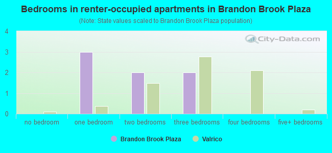 Bedrooms in renter-occupied apartments in Brandon Brook Plaza