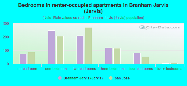 Bedrooms in renter-occupied apartments in Branham Jarvis (Jarvis)