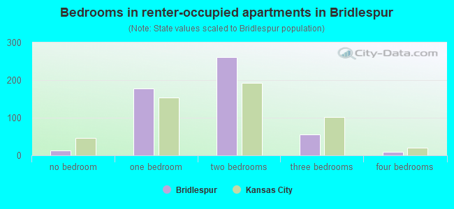 Bedrooms in renter-occupied apartments in Bridlespur