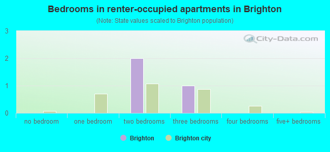 Bedrooms in renter-occupied apartments in Brighton