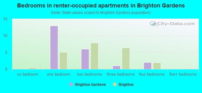 Bedrooms in renter-occupied apartments in Brighton Gardens