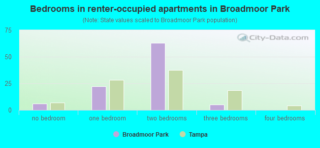 Bedrooms in renter-occupied apartments in Broadmoor Park