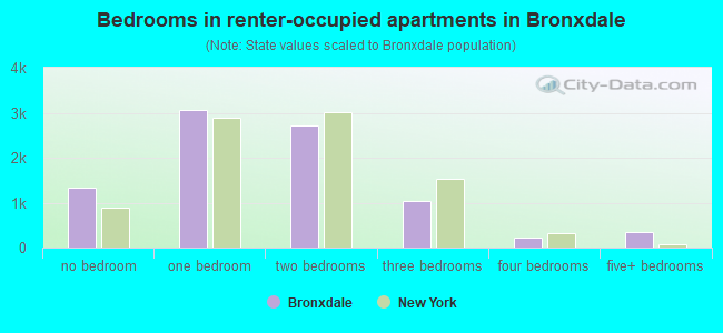 Bedrooms in renter-occupied apartments in Bronxdale