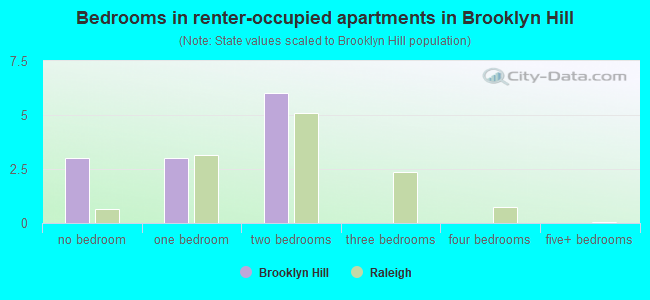 Bedrooms in renter-occupied apartments in Brooklyn Hill