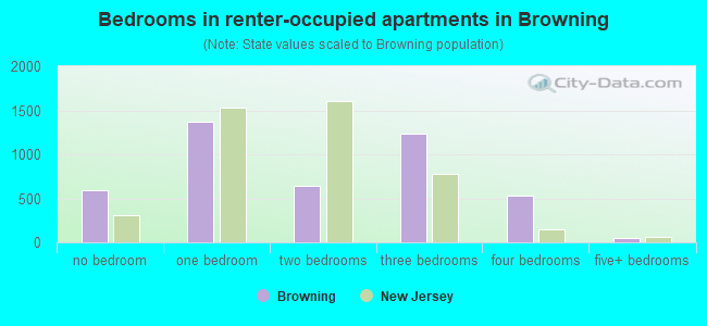 Bedrooms in renter-occupied apartments in Browning