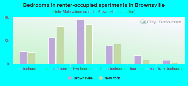 Bedrooms in renter-occupied apartments in Brownsville