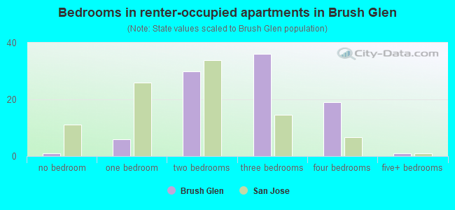 Bedrooms in renter-occupied apartments in Brush Glen