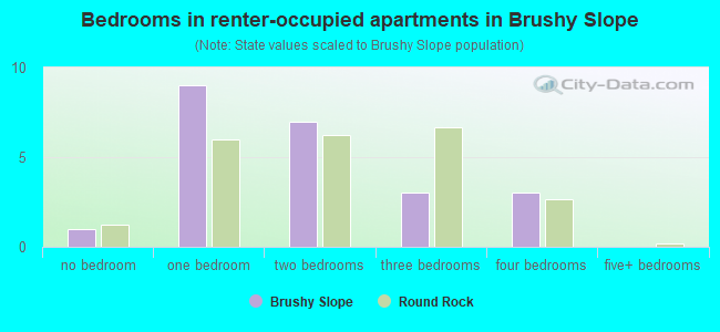 Bedrooms in renter-occupied apartments in Brushy Slope