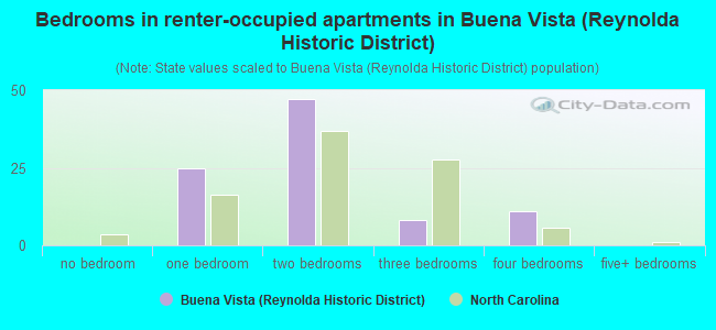 Bedrooms in renter-occupied apartments in Buena Vista (Reynolda Historic District)