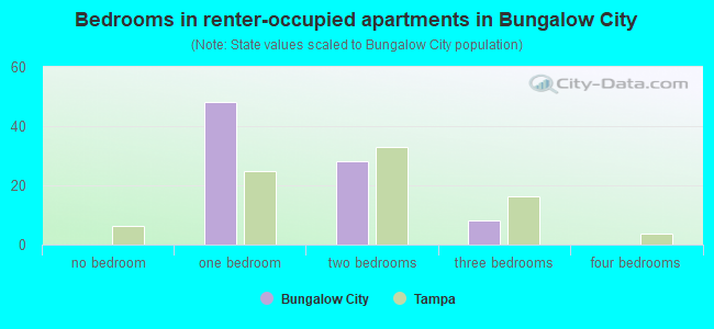 Bedrooms in renter-occupied apartments in Bungalow City