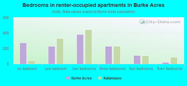 Bedrooms in renter-occupied apartments in Burke Acres