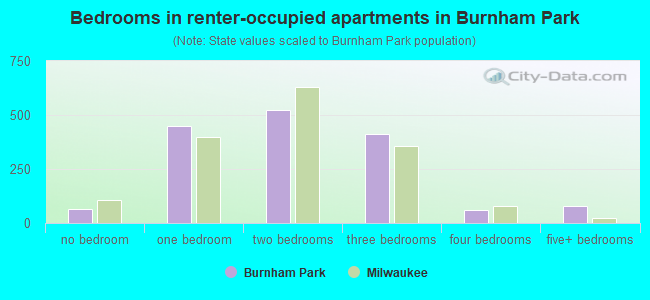 Bedrooms in renter-occupied apartments in Burnham Park