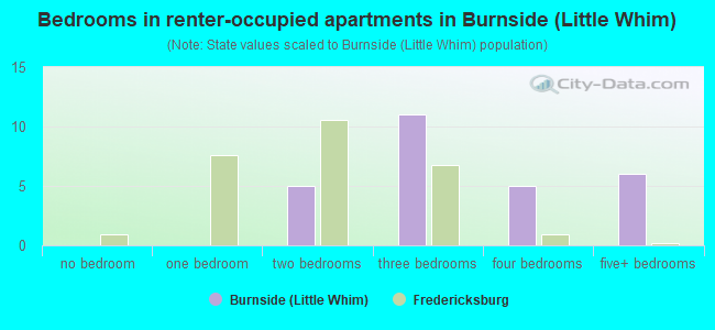 Bedrooms in renter-occupied apartments in Burnside (Little Whim)