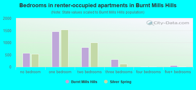 Bedrooms in renter-occupied apartments in Burnt Mills Hills