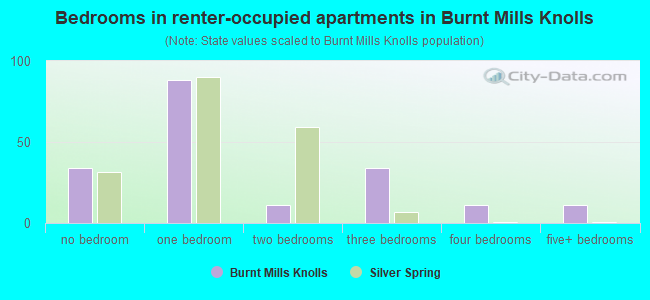 Bedrooms in renter-occupied apartments in Burnt Mills Knolls