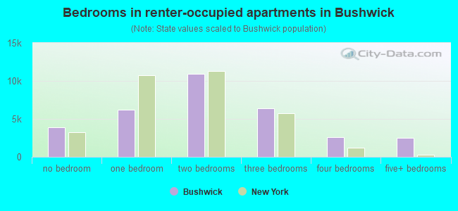 Bedrooms in renter-occupied apartments in Bushwick