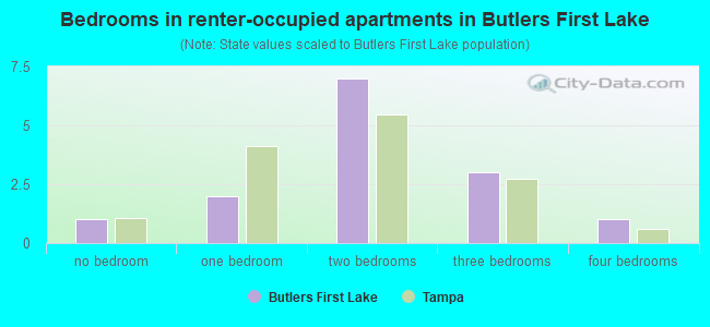 Bedrooms in renter-occupied apartments in Butlers First Lake