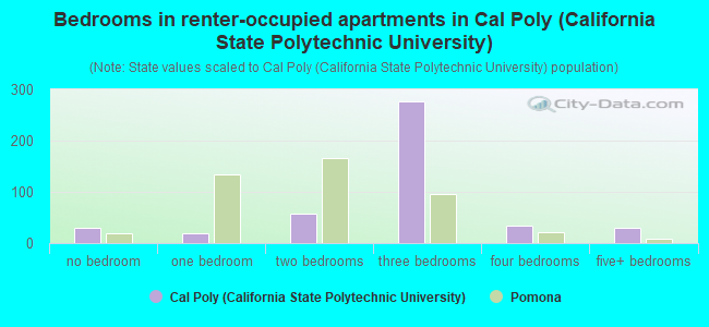 Bedrooms in renter-occupied apartments in Cal Poly (California State Polytechnic University)