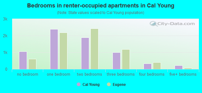 Bedrooms in renter-occupied apartments in Cal Young