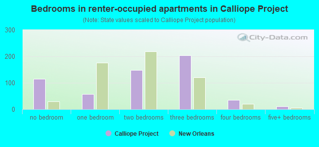 Bedrooms in renter-occupied apartments in Calliope Project