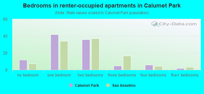 Bedrooms in renter-occupied apartments in Calumet Park