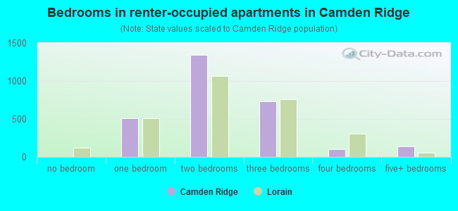 Bedrooms in renter-occupied apartments in Camden Ridge